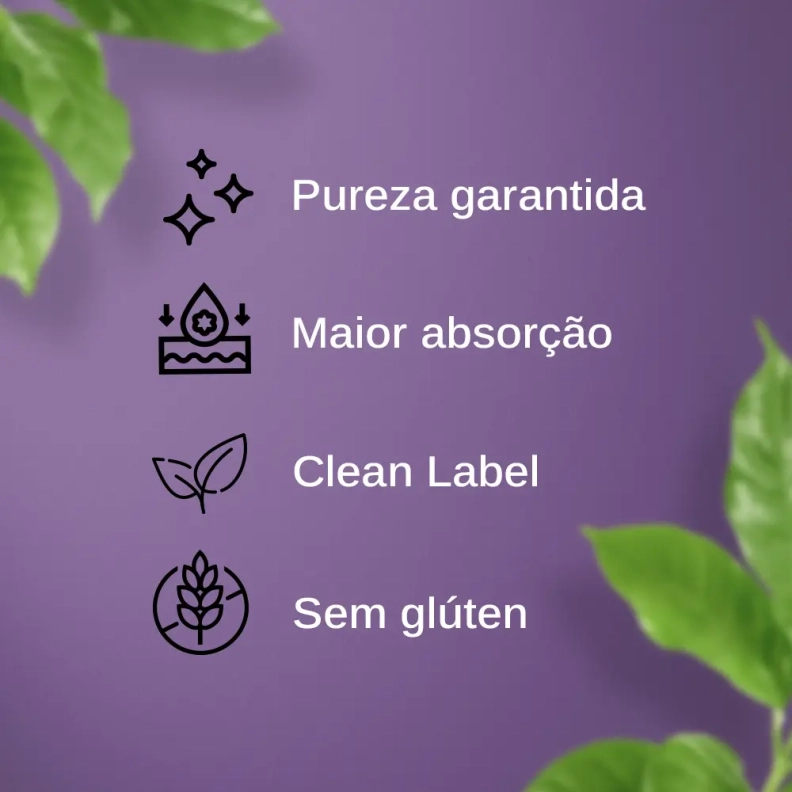 Creatina Monohidratada 300g Produto Creatina Monohidratada 300g