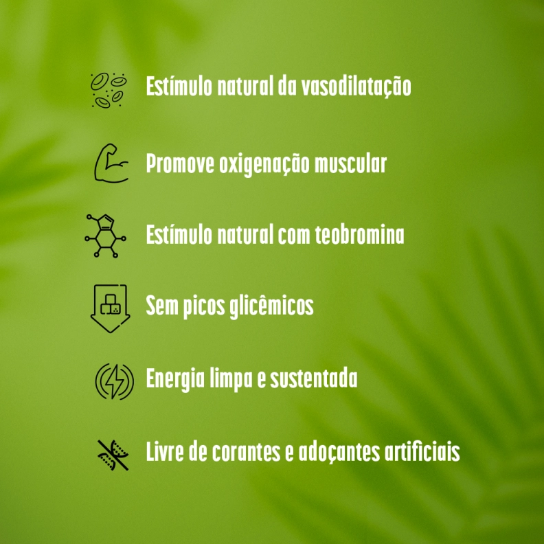 Produto Energia Performance - Nitro200 300g