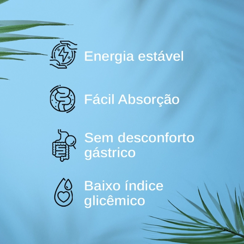 Palatinose em Pó 300g Produto Palatinose em Pó 300g