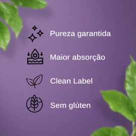 Creatina Monohidratada 300g Creatina Monohidratada 300g